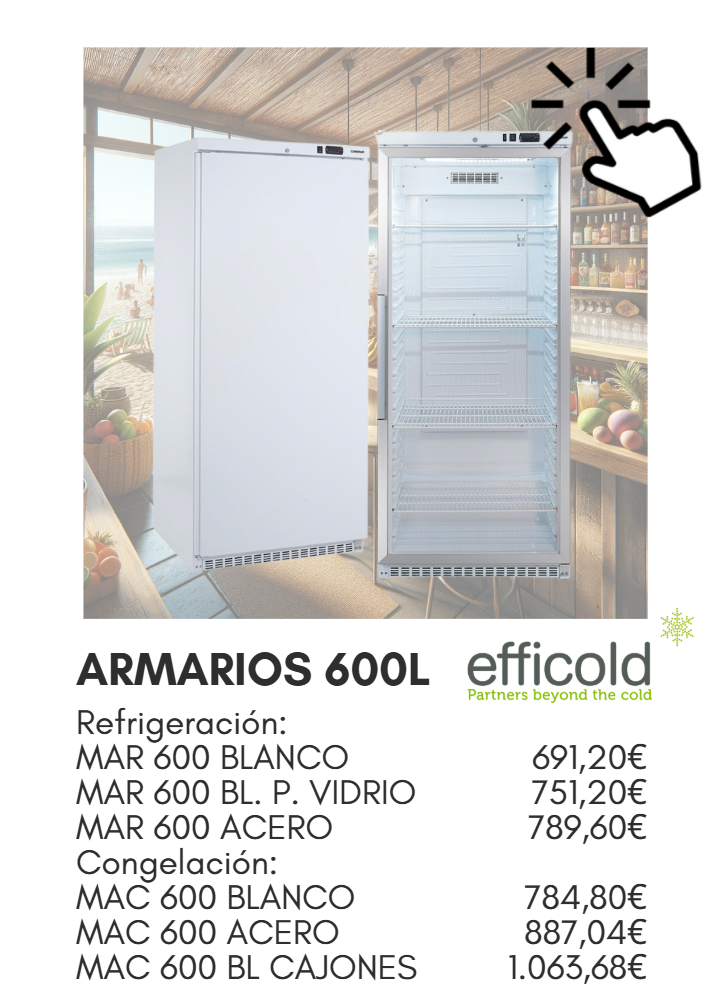 Armarios Efficold